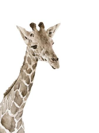Art Print, , small