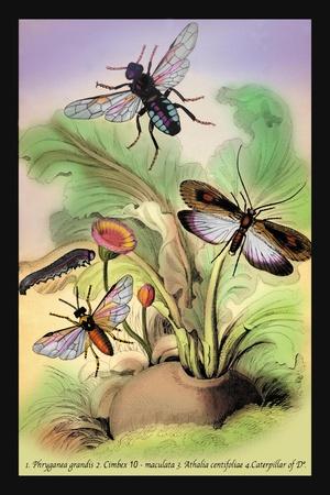 Art Print, , small