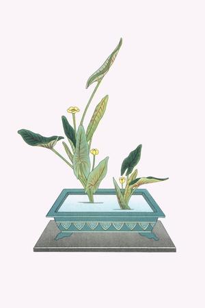 Art Print, , small