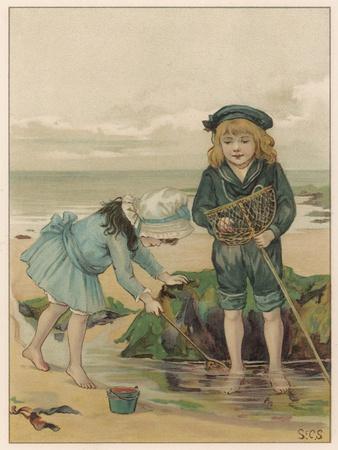 Art Print, , small