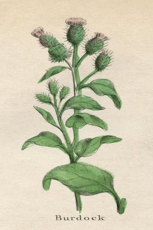 Art Print, , small
