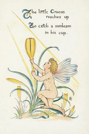 Art Print, , small