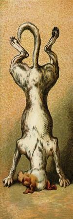 Art Print, , small