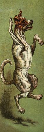Art Print, , small