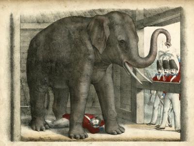 Art Print, , small