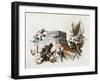 Gun Emplacement-Raoul Auger-Framed Art Print