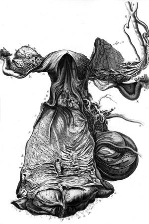 Art Print, , small