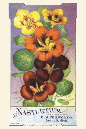 Art Print, , small