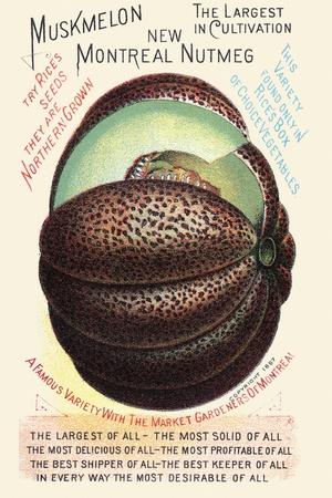 Art Print, , small