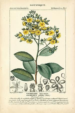 Art Print, , small