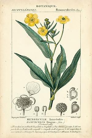 Art Print, , small