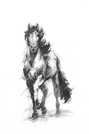 Art Print, , small
