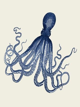 Art Print, , small