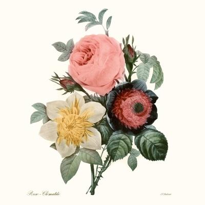 Art Print, , small