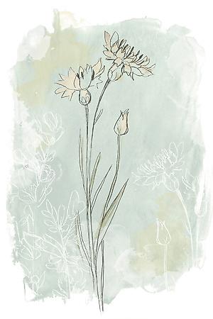 Art Print, , small