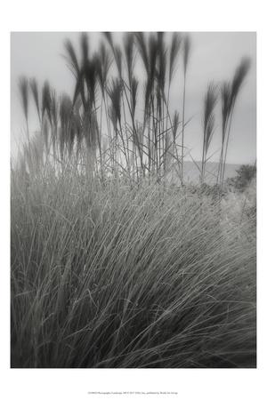 Photographic Print, , small