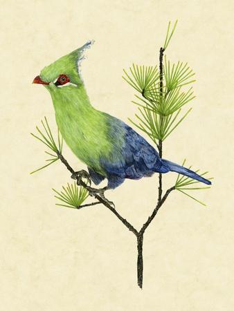 Art Print, , small