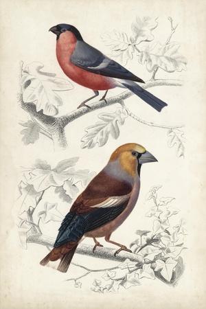 Art Print, , small