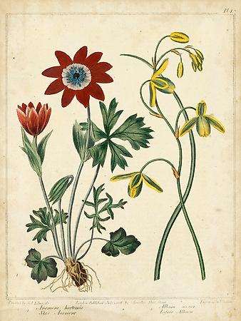 Art Print, , small
