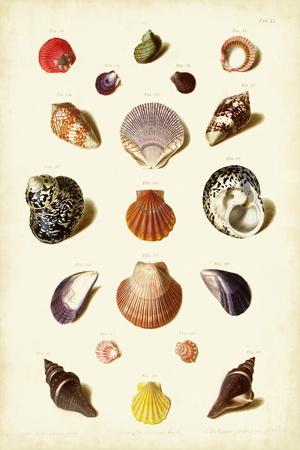 Art Print, , small