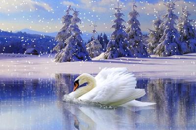 Giclee Print, , small