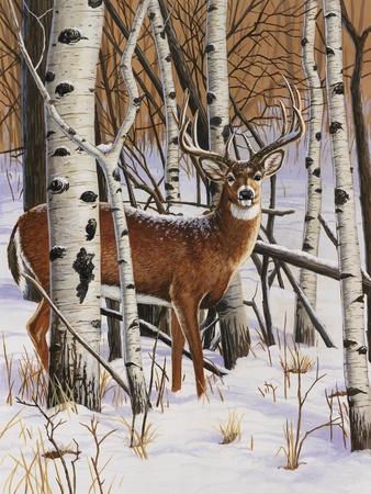 Giclee Print, , small