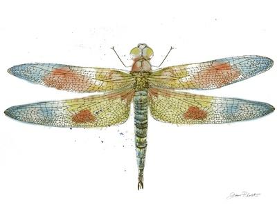 Giclee Print, , small