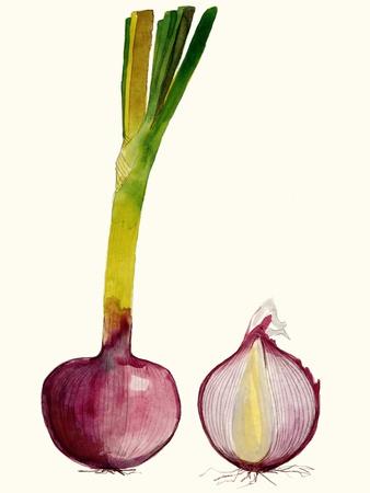 Art Print, , small