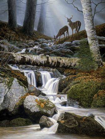Giclee Print, , small
