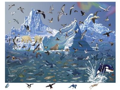 Giclee Print, , small