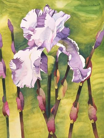 Giclee Print, , small