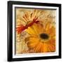 Golden Gerbera II-Art Licensing Studio-Framed Giclee Print