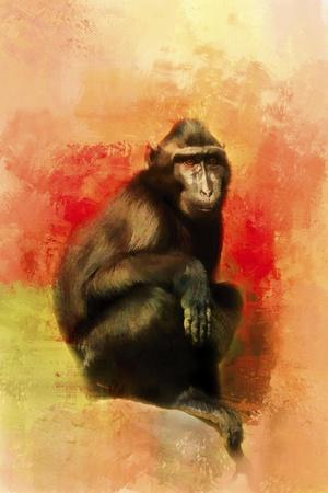 Giclee Print, , small