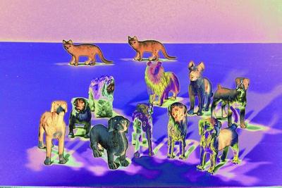 Giclee Print, , small