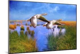 Birds In Nature-Ata Alishahi-Mounted Giclee Print