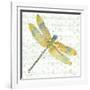 JP3438-Dragonfly Bliss-Jean Plout-Framed Giclee Print