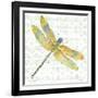 JP3438-Dragonfly Bliss-Jean Plout-Framed Giclee Print