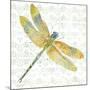 JP3438-Dragonfly Bliss-Jean Plout-Mounted Giclee Print
