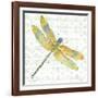 JP3438-Dragonfly Bliss-Jean Plout-Framed Giclee Print