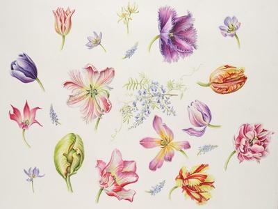 Giclee Print, , small