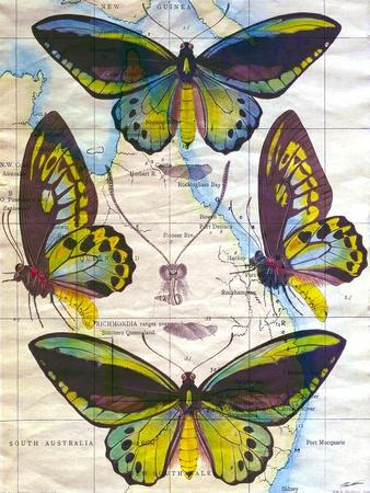 Art Print, , small