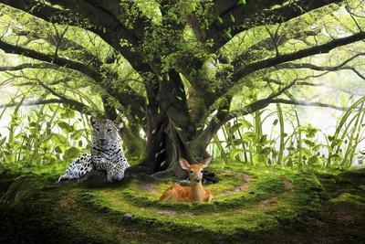 Giclee Print, , small