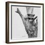 Bandit-Rusty Frentner-Framed Giclee Print