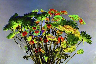 Giclee Print, , small