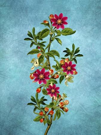 Giclee Print, , small