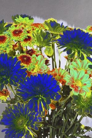 Giclee Print, , small
