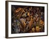 Stormy Night-Bill Bell-Framed Giclee Print