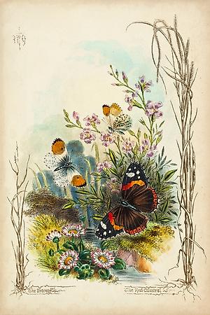 Art Print, , small
