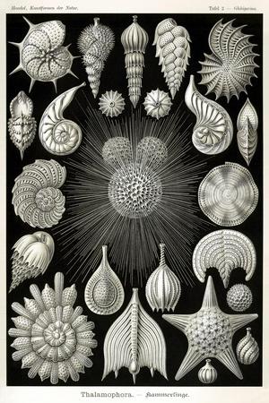 Giclee Print, , small
