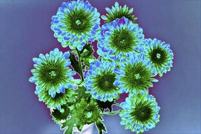 Giclee Print, , small